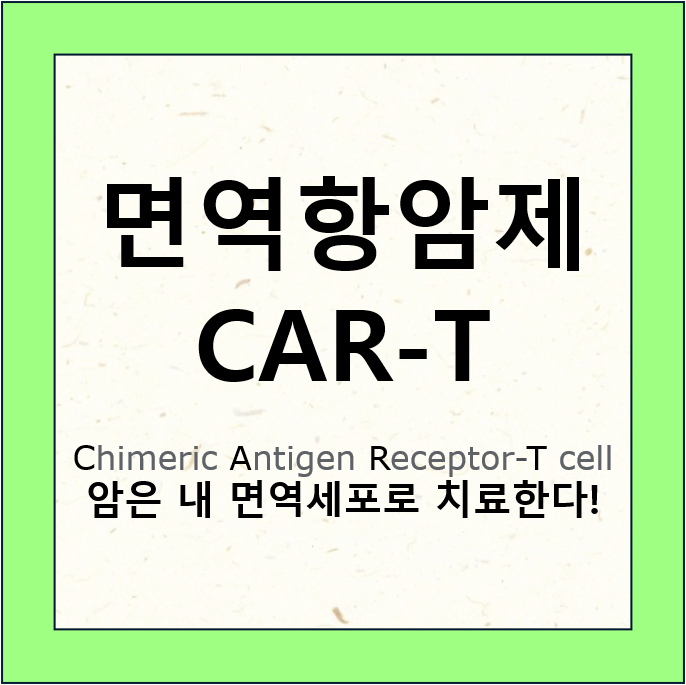 면역항암제 CAR-T